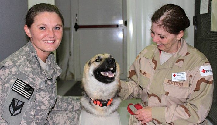 Military service members and dog
