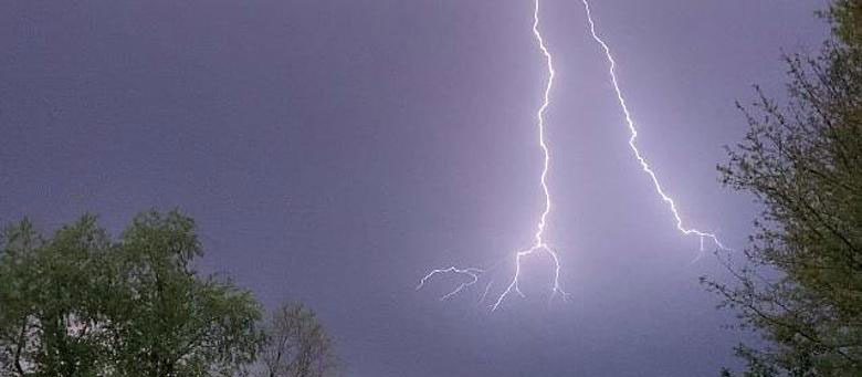 Lightning bolt above trees